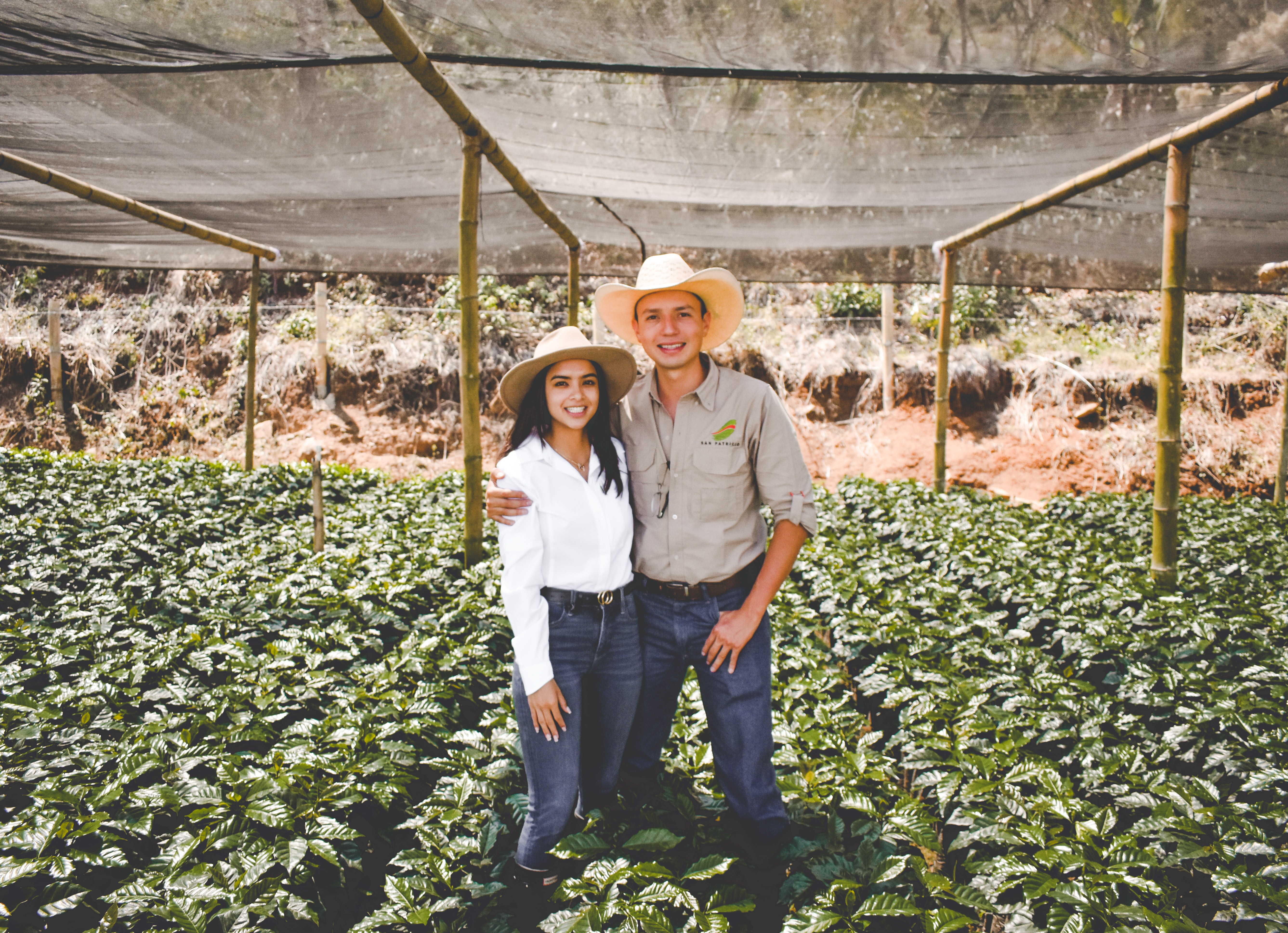 The complete guide to Guatemalan coffee