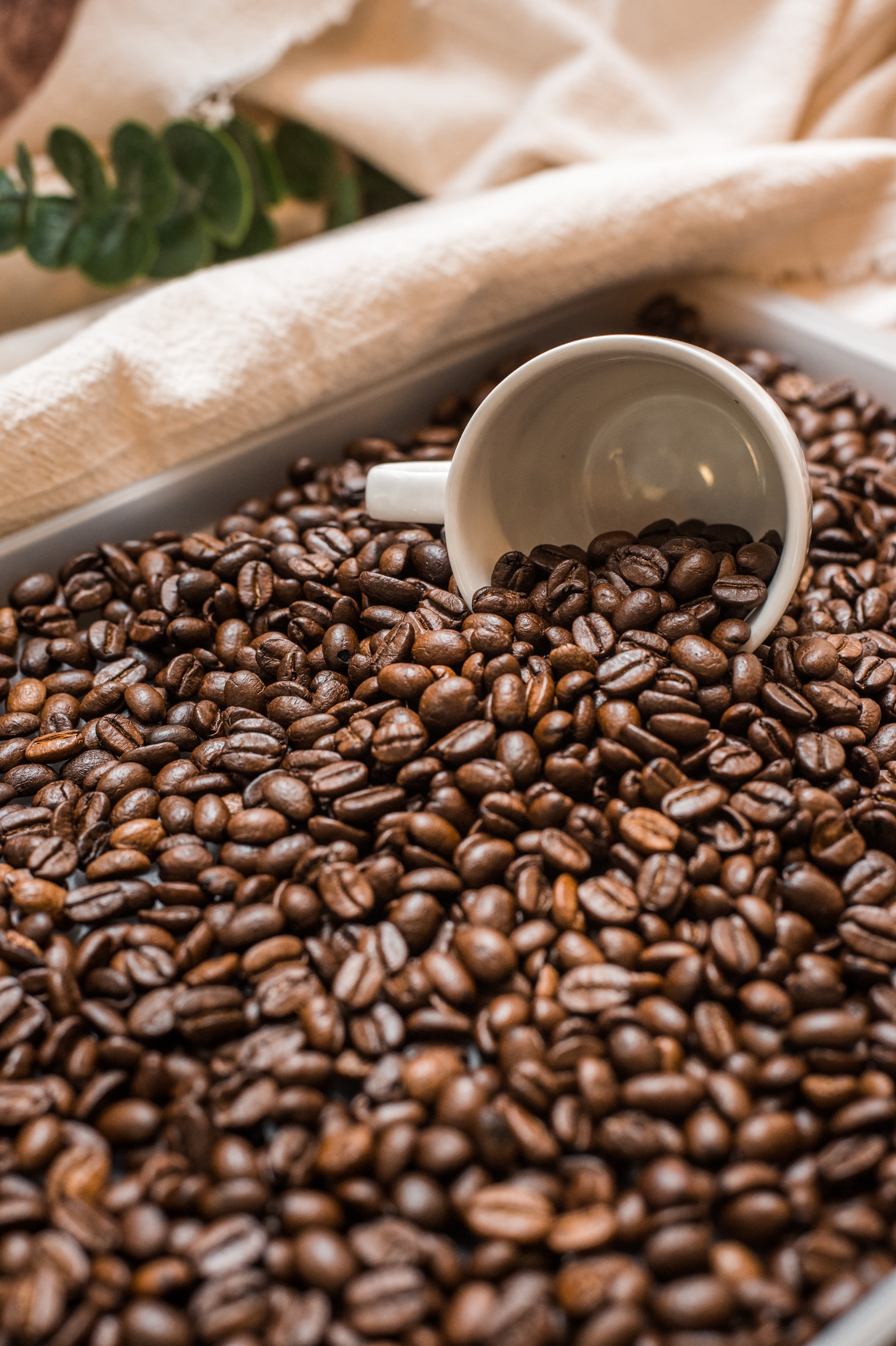 What is Ethiopian Yirgacheffe coffee? What is Ethiopian Yirgacheffe coffee?