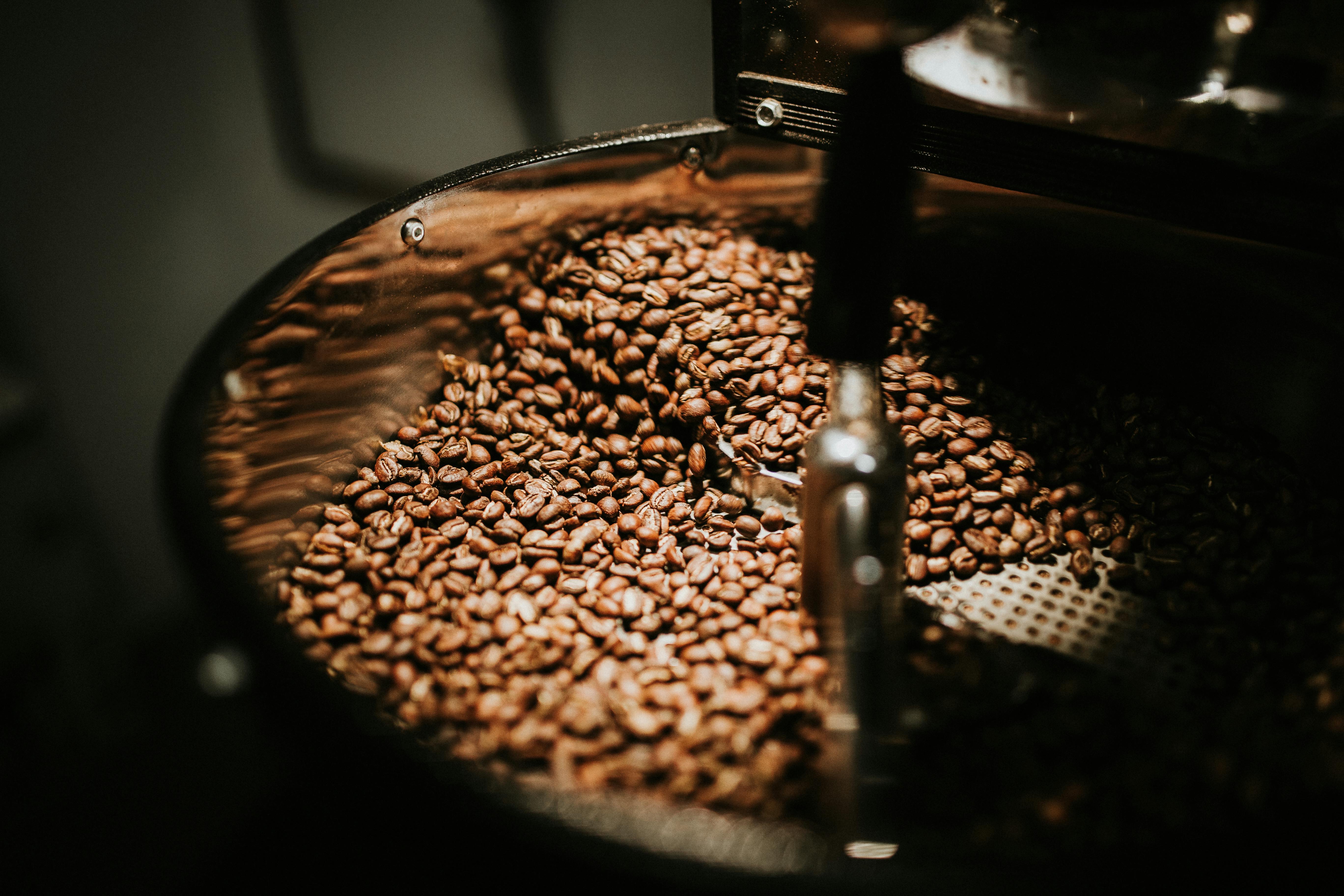 Where to buy fresh coffee beans online 