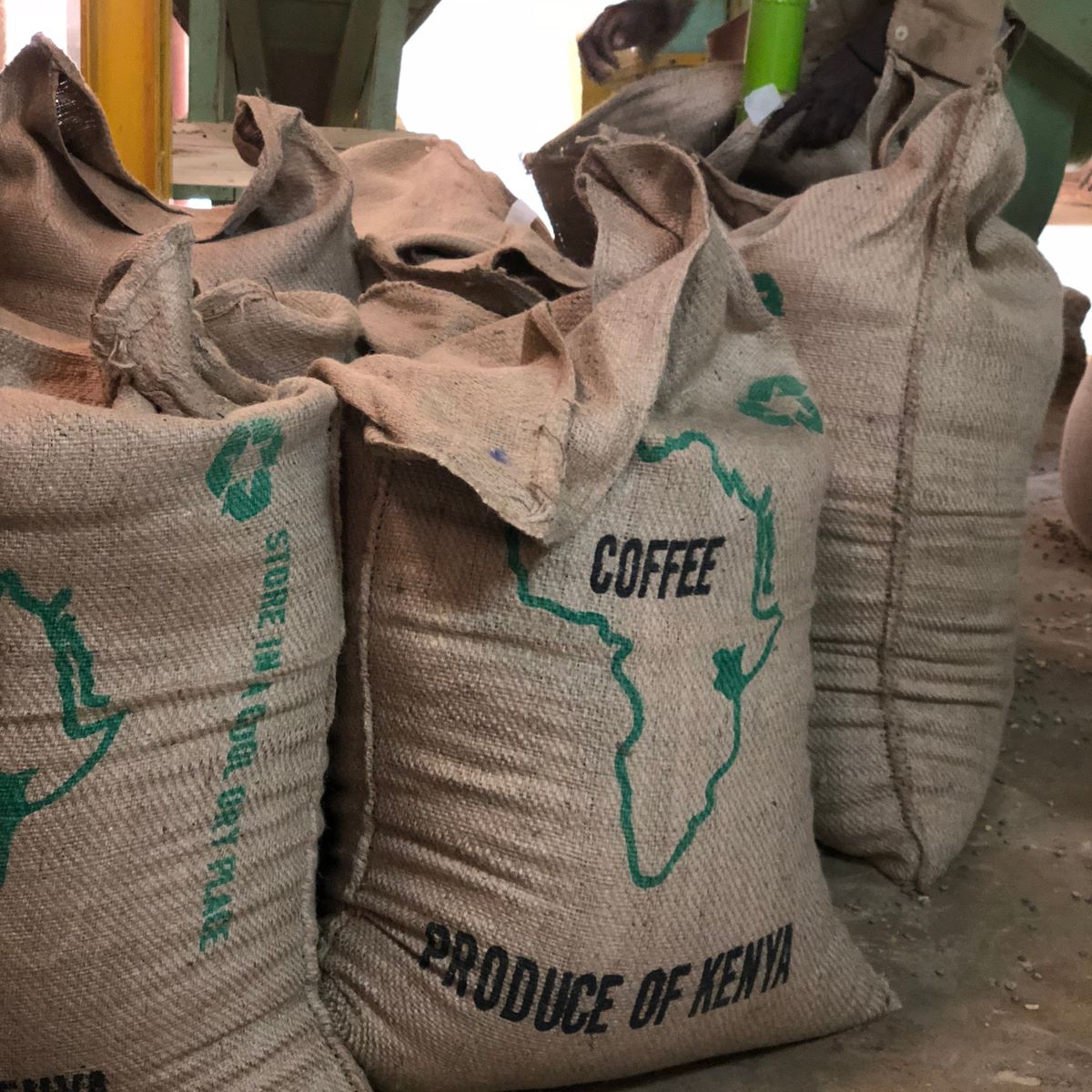 Why is coffee from Kenya so good?