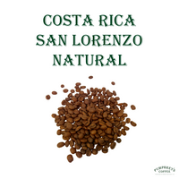 Coffee of the Month - August 2025, Costa Rica, San Lorenzo Natural