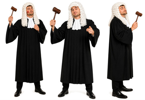 Adults Deluxe Crown High Court Judge Judiciary Fancy Dress Costume