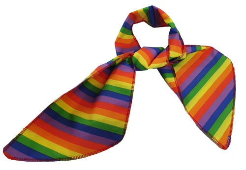 Adults Multicoloured Striped Neck Tie LGBTQ+Gay Pride March Month Fancy Dress Costume Accessory