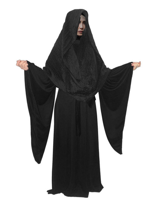 Adults Deluxe Black Widow Evil Sorceress Clairvoyant Halloween Fantasy Fancy Dress Costume