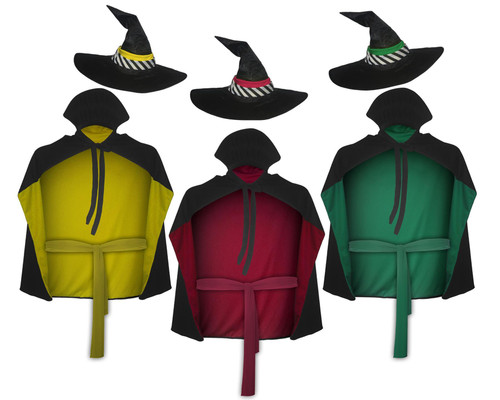 Adults The Worst Witch TV Show Halloween World Book Day Fancy Dress Costume Adults The Worst Witch TV Show Halloween World Book Day Fancy Dress Costume