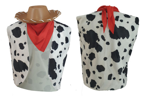Childs Woody Jessie Cowboy Cowgirl Wild West Western Movie Fancy Dress Childs Woody Jessie Cowboy Cowgirl Wild West Western Movie Fancy Dress