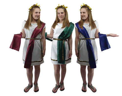 Adults Deluxe Roman Greek Grecian Toga Tabard Robes Historical Fancy Dress Costume