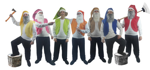 Adults 7 Dwarfs Gnomes Elf Stag Night Festival Group Fancy Dress Costume