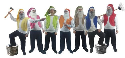 Adults 7 Dwarfs Gnomes Elf Stag Night Festival Group Fancy Dress Costume