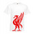 Mens Liver Bird YNWA Liverpool Scouser Liverpudlian Unisex White T-Shirt