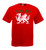 Adults Welsh Dragon Cymry Cymru Rugby Y Ddraig Goch Wales Unisex Red T-Shirt