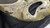 Fun World Deluxe Ghost Face Aged Mask Scream VI Halloween Fancy Dress Costume Accessory