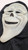 Fun World Official Licensed Ghost Face Stoned Scary Movie Mask Halloween Fancy Dress