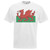 Adults Cymru Y Ddraig Goch Wales Flag Welsh Rugby Nations Unisex White T-Shirt