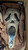 Fun World Ghost Face Scream Scarecrow Mask Halloween Fancy Dress Costume Accesssory [One Size]
