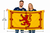 Royal Banner of The Royal Arms of Scotland Lion Rampant Flag (5ft x 3ft) Polyester Double Stitched Seam Metal Eyelets