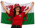 Adults Wales Bucket Hat 5ft x 3ft Flag & Face Paints St Davids Day Supporters Kit