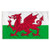 Adults Wales Bucket Hat 5ft x 3ft Flag & Face Paints St Davids Day Supporters Kit