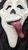Fun World Ghost Face Wassup Scream Scary Movie Mask Halloween Fancy Dress [Wass Up]