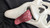 Fun World Ghost Face Wassup Scream Scary Movie Mask Halloween Fancy Dress [Wass Up]