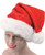 Adults Red & Gold Glitter Santa Hat with White Trim Christmas Accessory