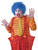 Adults Blue Afro Style Clown Wig Big Top Circus Fancy Dress Costume Accessory