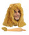 Adults Wizards Cowardly Lion Christmas Pantomime Fancy Dress Big Cats Mane Ears & Tail Fancy Dress [One Size]