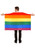 Adults The Rainbow Flag Cape Gay Pride March Month LGBTQ+ Fancy Dress