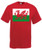 Mens Welsh Dragon Wales St David Cymru Y Ddraig Goch Red Unisex T-Shirt