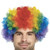 Adults Rainbow Multicoloured Afro Clown Wig Circus LGBT Pride March Fancy Dress