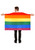 Adults LGBTQ+ Multicoloured Gay Pride March Month Fancy Dress 4 Piece Kit