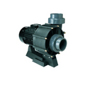 Certikin Hurricane Commercial Swimming Pool Pump (without pre filter)