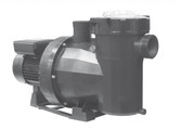 Astral Victoria Plus NG Commercial Pool Pump