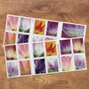Tulip Blossoms One Ounce Stamps