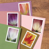 Tulip Blossoms One Ounce Stamps