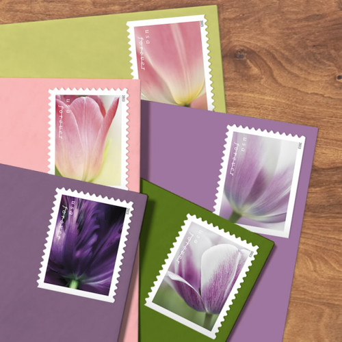 Tulip Blossoms One Ounce Stamps