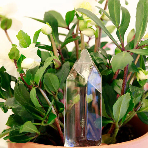 Self-Watering Crystal