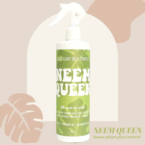 Neem Queen Pest Control