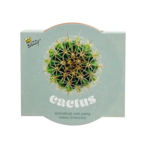Cactus Terracotta Grow Kit