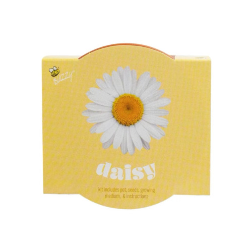 Daisy Terracotta Grow Kit