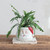 Santa Planter