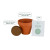 Daisy Terracotta Grow Kit