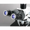 Amscope 40X-1000X Tricular Biological Compound Microscope