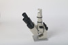 Nikon Horizontal Microscope W 2x Nikon CFW10X And Vertical Illuminator