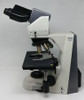 Nikon Microscope Eclipse 50i 50x Oil Objective