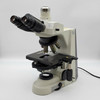 Nikon Microscope Eclipse 50i Phase Contrast And Tricular Head