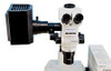 Olympus SZX7 Stereo Fluorescence Microscope