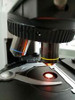 Olympus Microscope BX51 Pol Fluorescence