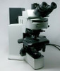 Olympus Microscope BX51 Dic And Fluorescence