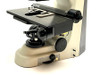 Nikon Eclipse 50i Microscope Y-idp